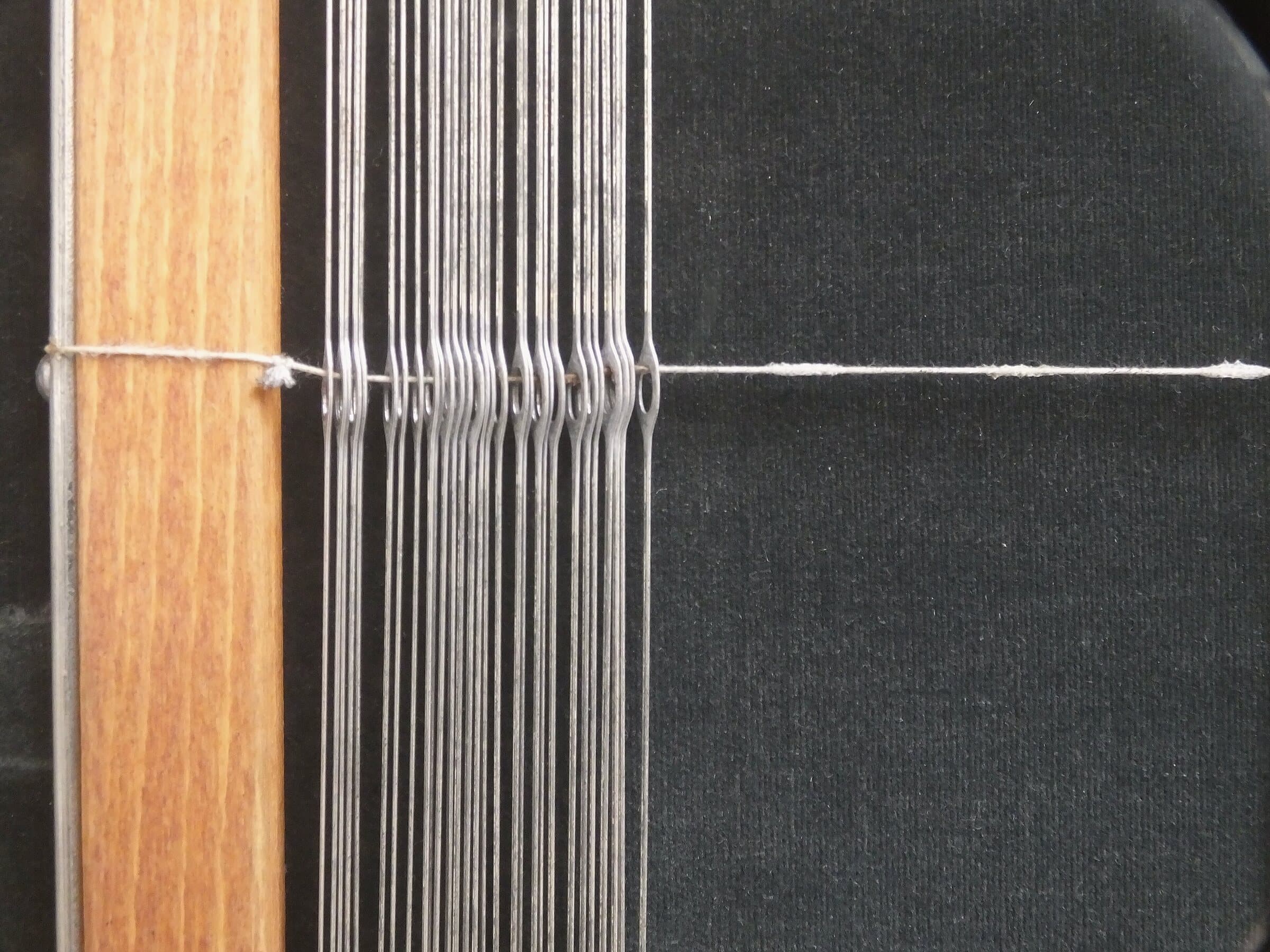 Close view of warp threads passing through the reed of a loom, a single fine cord crossing them.